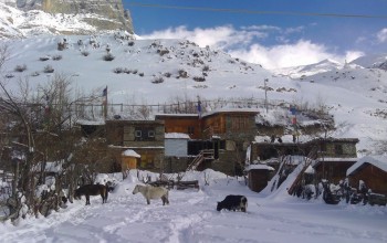 जस्तापाताका भरमा जाडो छल्दै मनाङका तालवासी