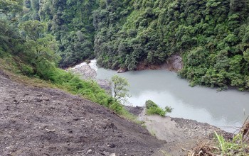 घाँस काट्न गएको बेला नदीमा फसेका दाइ र बहिनीको सेना र प्रहरीद्वारा उद्धार